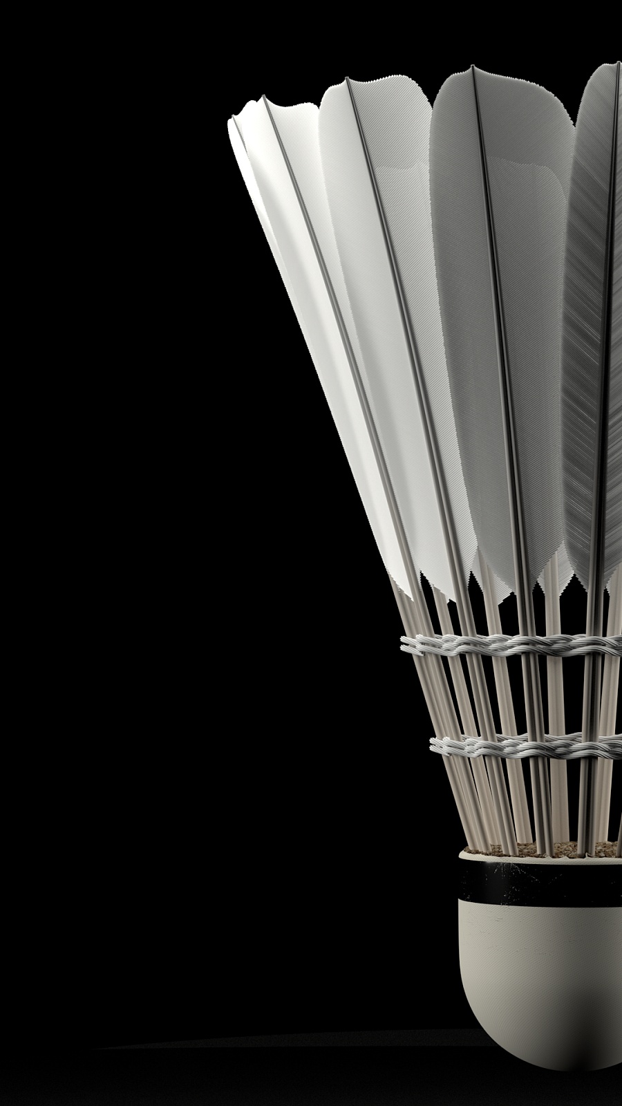 运动员在压 运动员在压